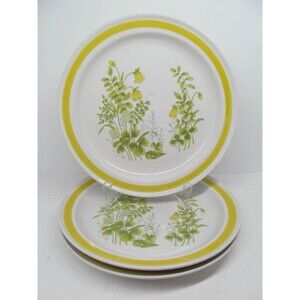 Chadds Ford Spring Meadow Stoneware 10 3/4" Dinner Plates Bundle of 3